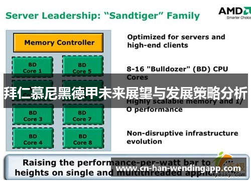拜仁慕尼黑德甲未来展望与发展策略分析
