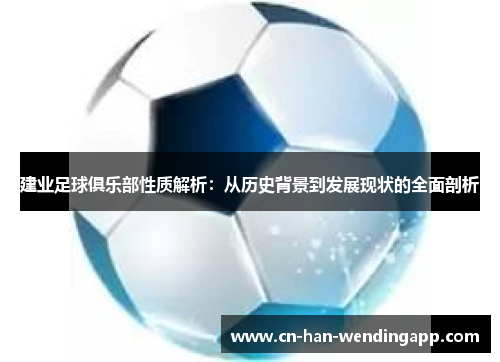 建业足球俱乐部性质解析：从历史背景到发展现状的全面剖析
