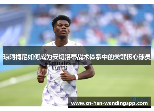 琼阿梅尼如何成为安切洛蒂战术体系中的关键核心球员