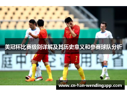 美冠杯比赛级别详解及其历史意义和参赛球队分析